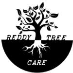 reddy tree logo